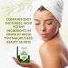 Erbaid Tea Tree Oil Soap Bar 4oz - Antifungal Antiseptic Skincare Cleanser for Face & Body - Natural Remedy with Pure Essential Oil for Acne, Ringworm, and Fungus - Buy Online on GoSupps.com