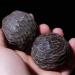 Buy Untit Ballstretch Magnetic Stress Ball - Solo Hand Exercise & Stress Relief | Health Balls for Training & Play - Buy Online on GoSupps.com
