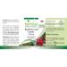 Fairvital Uva Ursi Extract 500mg | High Dose Bearberry Leaf - 20% Arbutin - Vegan - 90 Capsules - International Shipping Available - Buy Online on GoSupps.com