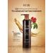 RGIII Premium Red Ginseng Hair Loss Prevention Shampoo & Treatment Set - Buy Online on GoSupps.com