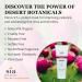 Luminous Glow Gel e Face Mask | Exfoliating Facial Mask w/Aloe Vera & Prickly Pear | Natural Botanical Skincare for Women - 59ml Eco Tube - Buy Online on GoSupps.com