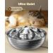 Stainless Steel Cat Water Fountain 2L/67oz - Quiet & Low Noise Design for Multiple Pets - Sliver - Buy Online on GoSupps.com