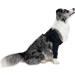 MPS Medical Pet Shirt - TAZ2 | Double Front Leg Cuff for Dogs | International Shipping Available - Buy Online on GoSupps.com