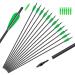 GPP Archery Carbon 30-Inch Targeting/Hunting Arrows Field Points Replaceable Tips for Recuve Bow & Compound Bow 12 PK Green Vanes