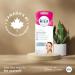 VEET Pure Sugar Wax Hair Removal Kit Argan Oil 250mL - Buy Online on GoSupps.com