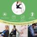 Posture Corrector for Women & Men | Adjustable Back Brace for Neck & Back Pain Relief | Ultimate Shoulder & Back Support - Buy Online on GoSupps.com