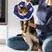 TIESOME Small Cat Cone Collars Adjustable Kitten Recovery Cone Collar After Surgery Fasteners Collars for Small Cats Protective Cat Recovery E-Collar 6.3-9inch Neck Diameter(S Size Constellation) - Buy Online on GoSupps.com