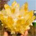 Crystal Cluster Rare New Yellow Phantom Quartz Crystal Cluster (Size : 300-350g) - Buy Online on GoSupps.com