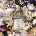 GUERLAIN Aqua Allegoria Harvest Nerolia Vetiver Eau De Toilette Spray 4.2 Ounce (Unisex) - Buy Online on GoSupps.com