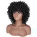14-Inch Porsmeer Curly Afro Wig for Women - Natural Kinky Curly Bob with Ponytail Shoulder Length Black 1B# - Perfect Volume for Black Women - Buy Online on GoSupps.com