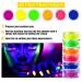 Neon Pigment Eyeshadow Powder - 6 UV Glow Colors for Bold Makeup | FindinBeauty Christmas Face & Body Art - Buy Online on GoSupps.com