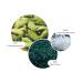 Molton Brown Coastal Cypress & Sea Fennel Hand Wash 10 Fl Oz - Pack of 1 - Buy Online on GoSupps.com