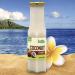 Dip into Paradise Gourmet Coconut Fruit Syrup - Made in Hawaii - 10 oz - Buy Online on GoSupps.com
