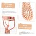 DRESSOOS Eye Curler Eyelash Clamps Eyelash Curler for Makeup Handheld Eyelashes Curling Clip Tool for Makeup Eyelash Curler for Girl Eye Lash Curler Lash Curlers Curling Lash Tools - Buy Online on GoSupps.com