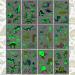 Ooopsiun Luminous Dinosaur Temporary Tattoos - 90 Glow in The Dark Styles for Boys Kids | Dinosaur Birthday Party Decorations & Favors - Buy Online on GoSupps.com