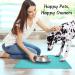 Senmipy Silicone Dog Food Mat - Waterproof, Non-Slip, BPA Free - 23x15 Inch Turquoise Pet Mat for Food and Water Bowls - Buy Online on GoSupps.com