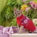 Shop Katzinst Dog Sweater for Small Dogs | Christmas Fleece Sweater for French Bulldogs Dachshunds & Chihuahuas - XS Red - Buy Online on GoSupps.com