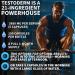 Testoderm Men Over 30 Power UP - Hair Thinning Low Manhood Energy Doctor endorsed Comprehensive Support for Vitality Manhood Hair Support Focus All While combating Negative DHT Effects - Buy Online on GoSupps.com
