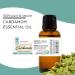 GreenHealth - 5 ml Cardamom Essential Oil - 100% Pure - Buy Online on GoSupps.com