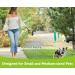 Pecute Retractable Dog Lead - 16ft, One Button Brake & Lock - Up to 66lbs Pulling Force - 5m Length - 30kg Capacity - Buy Online on GoSupps.com