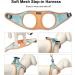 Doramio Dog Harness for Small Dogs with Leash - Reflective Breathable Anti-Train Safety Dishes for Cats & Small Dogs (XS Orange Blue) - Buy Online on GoSupps.com