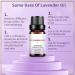 10ml Lavender Essential Oil for Aromatherapy - Unilateral Plant-Based Massage Care | Qhy556 - Buy Online on GoSupps.com