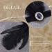 Handcess 1920s Feather Flapper Headband Black Feather Crystal Headband Women's Vintage Flapper Headpiece 20's Theme Cocktail Hair Accessories for Costume Prom Carnival Theme Party - Buy Online on GoSupps.com