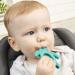Dr. Brown's Silicone Starter Spoon & Teether 2-Pack with Suction Bowls, Cheers360 Sippy Cups Blue/Aqua - BPA Free, Milestones 6-Pack - Buy Online on GoSupps.com