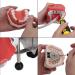 UIGJIOG Dental Surgery Simulator - Realistic Facial Skin Simulation for Hospital Training | Dental Equipment & Copper Window Puppet - Buy Online on GoSupps.com
