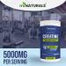miNATURALS Creatine Monohydrate Powder by miNATURALS -350 Grams - 100% Pure Unflavoured Micronized Powder Helps Increase Lean Muscle Mass for Bodybuilding - Buy Online on GoSupps.com
