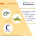 JUVAMINE - Expert Voies Respiratoires Facilite la respiration - Syst me immunitaire - Adoucit la gorge Eucalyptus - Erysimum - Vitamine C - 30 jours Fabriqu en France (Lot de 3) Pack of 3 - Buy Online on GoSupps.com