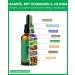 Heldengr n Organic Rosemary+ Hair Oil | Stimulates Hair Growth | High-Dose Hair Loss Treatment with Jojoba & Rosemary Oil | 4 x 50 ml Pack - Buy Online on GoSupps.com