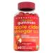 Organic Apple Cider Vinegar Gummies | 60 ACV Gummies with The Mother | Supports Healthy Digestion + Provides Antioxidant Support