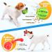 Puppy Toys 8 Pack for Small Dogs Luxury Dog Chew Toys with Squeaky Plush Toys Rope Toys and Ball Teething Toys for Puppy Supplies - Buy Online on GoSupps.com