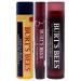 Buy Burts Bees Mistletoe Kiss Red Holiday Gift Kit - International Shipping Available - Buy Online on GoSupps.com