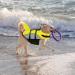 Alagirls XL Dog Life Jacket - Adjustable Swimming Vest for Safety - Yellow & Gray Chest 66-78cm - Buy Online on GoSupps.com