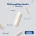 L Citrulline 3000mg Supplement (240 Capsules) Support L Arginine & Nitric Oxide Pills - L-Citrulline For Men & Women - Muscle Recovery & Pump Supplement - 3rd Party Tested Vegan Non-GMO - USA Made 240 Count (Pack of 1) - Buy Online on GoSupps.com
