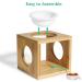 Comsaf Fragrance Lamp with Candle Holder - Aromatherapy Oil Burner for Meditation Yoga & Home | Ceramic Square Tea Light & Removable Wax Holder - Buy Online on GoSupps.com