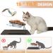 Aivituvin Small Dog Elevated Bowls - 15 Tilted Walnut Wood Feeder for Cats and Puppies | Raised Food Dish Set with Anti-Slip Mat - Buy Online on GoSupps.com