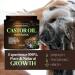 Castor Oil Hair Mask 8 Fl Oz | Infused with Rosemary Peppermint Grapefruit & Ginger | Fuller Thicker Hair | Long-Lasting Immediate Results - Buy Online on GoSupps.com