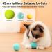 Havenfly Interactive Cat Ball Toy Intelligent Indoor Automatic Moving Ball Puzzle Dispel Boredom USB Charging Pet Toy with Light Fun Present for Kitten (Blue) Blue+roll - Buy Online on GoSupps.com