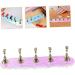 minkissy 1 Set Fake Nails Display Stand Press on Nails Practice Holder Nail Tools Nail Holder Press on Artificial Nails Holder Fairy Exercise Rack Bracket Base False Nails Acrylic 12.8x3.9x3cm As Shown - Buy Online on GoSupps.com