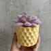 Round Honeycomb Concrete Flower Pot Silicone Mold - Succulent Planter, Cactus Mold, Candle Holder, Jewelry Storage - Epoxy Resin Clay Mold - Buy Online on GoSupps.com