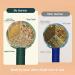Buy Lymphhammer - Manual Body Massage Hammer for Deep Tissue Relief | Hand-Held Wormwood & Long Hand Design (10.23 inch Color D) - International Shipping Available - Buy Online on GoSupps.com