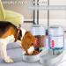 Gravity Pet Feeder and Waterer Set - Automatic Cat and Dog Food Bowls - Gray - Suitable for Small, Medium, and Large Pets - Buy Online on GoSupps.com