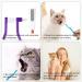2-Piece Cat Toothbrush Set - Double-Sided Cleaning Brush for Kittens & Cats | Microbe Brush Head & Curved Handle | Deep Cleaning Accessories (Blue Purple) - Buy Online on GoSupps.com