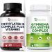 Migcopat Methylated Multivitamin Plus + Gymnema Sylvestre