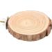 Round Wooden Springboard Parrot Perch Stand Toy - Small Parakeets, Cockatiels, Hamster (6cm) - Buy Online on GoSupps.com