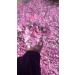 OFLORALE Lebanese Rose Water 8.45 fl oz - 100% Natural for Cooking, Baking & Desserts - Buy Online on GoSupps.com