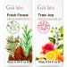 Fresh Forest Essential Oil Blend Diffuser & True Joy Essential Oil for Diffuser Set - Aromatherapy Grade Essential Oils Set - 2x0.34 fl oz - Gya Labs